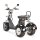 TRIKE 4KW 45km/h mit EEC (2x2KW)