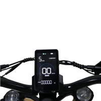 Bossman-S III Allrad Elektro-Scooter EEC 45km/h Black-Gold