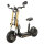 Bossman-S III Allrad Elektro-Scooter EEC 45km/h Black-Gold