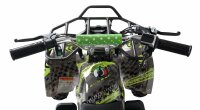 Torino 1000 Watt 36 Volt 6 Zoll Elektro-Miniquad Grün