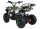 Torino 1000 Watt 36 Volt 6 Zoll Elektro-Miniquad Grün