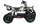 Torino 1000 Watt 36 Volt 6 Zoll Elektro-Miniquad Grün