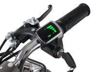 Torino 1000 Watt 36 Volt 6 Zoll Elektro-Miniquad Schwarz