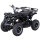 Torino 1000 Watt 36 Volt 6 Zoll Elektro-Miniquad Schwarz