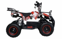 Torino 1000 Watt 36 Volt 6 Zoll Elektro-Miniquad Rot