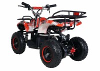 Torino 1000 Watt 36 Volt 6 Zoll Elektro-Miniquad Rot