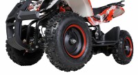 Torino 1000 Watt 36 Volt 6 Zoll Elektro-Miniquad Rot