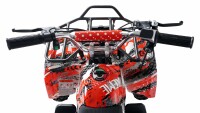Torino 1000 Watt 36 Volt 6 Zoll Elektro-Miniquad Rot