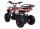 Torino 1000 Watt 36 Volt 6 Zoll Elektro-Miniquad Lachs