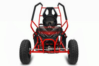 RACER Elektro Kinder Buggy 1000Watt 36Volt 6Zoll Offroad Schwarz