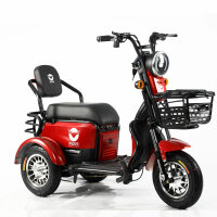 Wagner Mobility S1000 - ETrike - ElektroRoller - E-Mobil-...