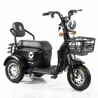 Wagner Mobility S1000 - ETrike - ElektroRoller - E-Mobil- 3-Rad 6 kmh