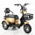 Wagner Mobility S1000 - ETrike - ElektroRoller - E-Mobil- 3-Rad 6 kmh