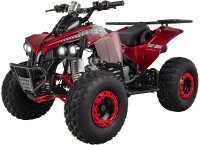 S-10 Kinder Quad ATV Semiautomatik + RG, 125cm³