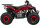 S-10 Kinder Quad ATV Semiautomatik + RG, 125cm³ Rot Metallic