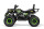 Rugby RS10 PLATIN CVT V3 Offroad Edition Quad 180cc 10 Zoll Automatik + RG Grün