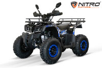 Reptile RS10-CVT 200cc Grau