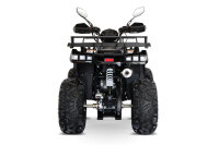 Reptile RS10-CVT 200cc Grau