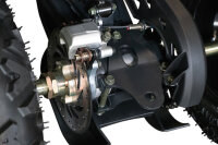 Reptile RS10-CVT 200cc Grau