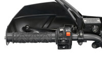 Reptile RS10-CVT 200cc Grau