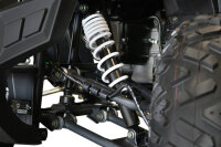 Reptile RS10-CVT 200cc Grau