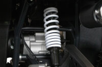 Reptile RS10-CVT 200cc Grau