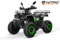 Reptile RS10-CVT 200cc Grau