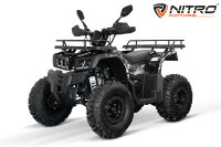 Reptile RS10-CVT 200cc Grau