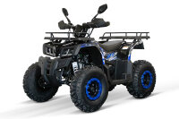 Reptile RS10-CVT 200cc Grau