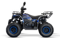Reptile RS10-CVT 200cc Grau