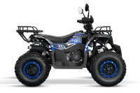 Reptile RS10-CVT 200cc Grau