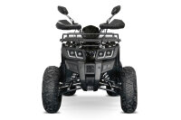 Reptile RS10-CVT 200cc Grau