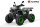 Reptile RS10-CVT 200cc Grau