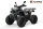Reptile RS10-CVT 200cc Grau