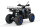Reptile RS10-CVT 200cc Grau