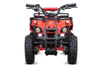 Quad Torino Sport 6Zoll, 1000Watt 48Volt Eco Quad