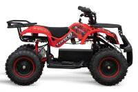 Quad Torino Sport 6Zoll, 1000Watt 48Volt Eco Quad