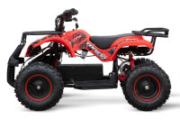 Quad Torino Sport 6Zoll, 1000Watt 48Volt Eco Quad