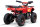 Quad Torino Sport 6Zoll, 1000Watt 48Volt Eco Quad