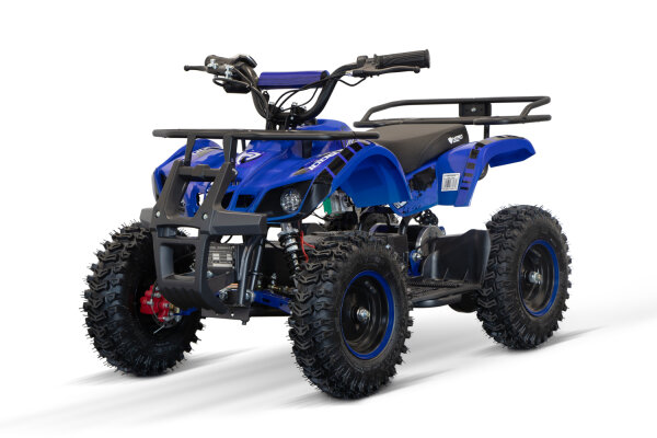 Quad Torino Sport 6Zoll, 1000Watt 48Volt Eco Quad Blau