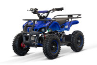 Quad Torino Sport 6Zoll, 1000Watt 48Volt Eco Quad Blau