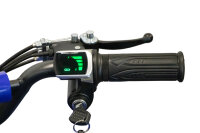 Quad Torino Sport 6Zoll, 1000Watt 48Volt Eco Quad Blau