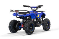 Quad Torino Sport 6Zoll, 1000Watt 48Volt Eco Quad Blau