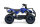 Quad Torino Sport 6Zoll, 1000Watt 48Volt Eco Quad Blau