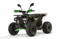 Dustrider Sport 8&quot; 1250W 60V