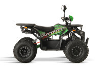 Dustrider Sport 8" 1250W 60V