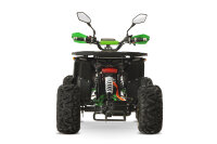 Dustrider Sport 8" 1250W 60V