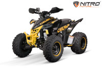 Celavi RS10 CVT 250cc 4G+RG