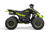 Celavi RS10 CVT 250cc 4G+RG
