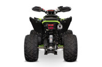 Celavi RS10 CVT 250cc 4G+RG